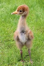 White Yellow Black - 12th May 2014 White Yellow Black - 12th May 2014